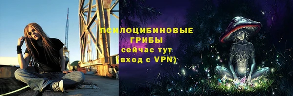 ГАЛЛЮЦИНОГЕННЫЕ ГРИБЫ Медвежьегорск