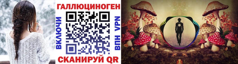 Купить  Жуковка  Псилоцибиновые грибы Cubensis 